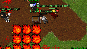 Lord Freeman on screen