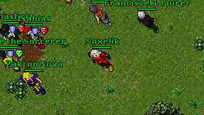 Noxelik on screen