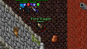 Fire'Eagle on screen