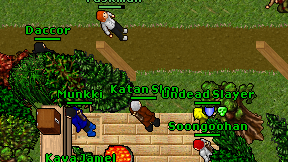 Katan Slon on screen