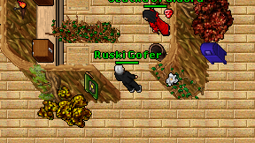Ruski Gofer on screen