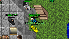 Sepete on screen