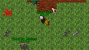 Garfiel on screen