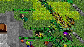 Krzysztofa on screen