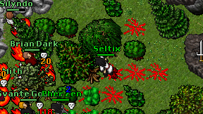Seltix on screen