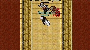 Solipin on screen