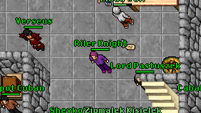 Riler Knight on screen