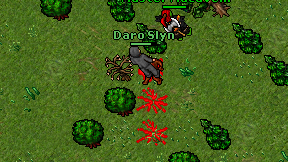 Daro Slyn on screen