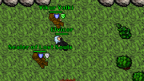 Elvicor on screen