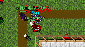 Knight Pat on screen