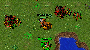Leksing on screen