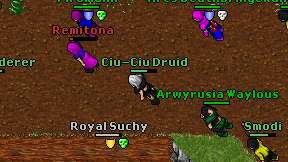 Ciu-Ciu Druid on screen