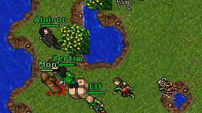 Zertim on screen
