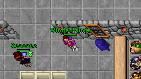 Winged Ninja on screen