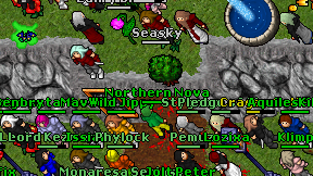 Northern Nova on screen