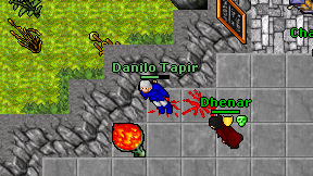 Danilo Tapir on screen
