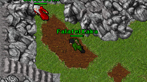 Falafel Kaka on screen
