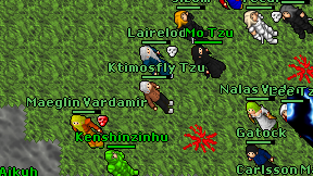 Ktimosfly Tzu on screen