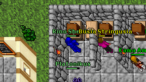 Rino Sheider on screen