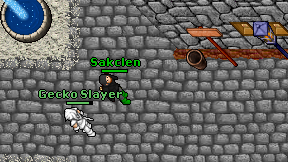 Sakclen on screen