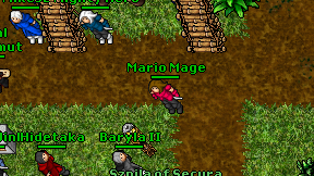 Mario Mage on screen