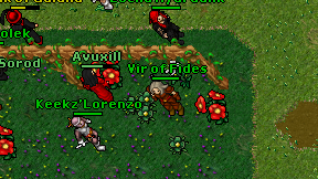 Vir of Fides on screen