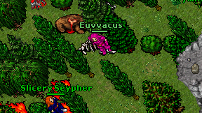 Euvvacus on screen