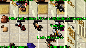 Jiujitsu Ultymate on screen