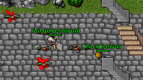 Forgoten druid on screen