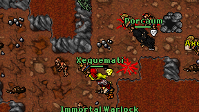 Xequemati on screen