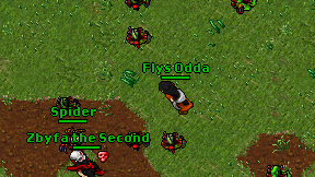 Flys Odda on screen