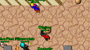 Winivo on screen