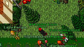 Arkandox Lizin on screen