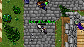 Brand Robines on screen