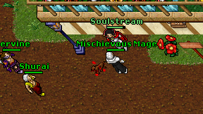 Mischievous Mage on screen