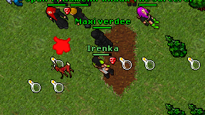 Irenka on screen