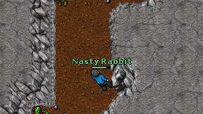 Nasty Rabbit on screen