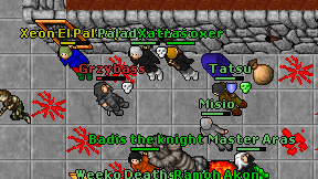 Grzybass on screen