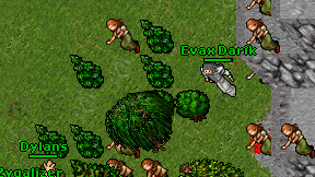 Evax Darik on screen