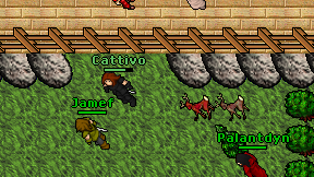 Cattivo on screen