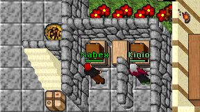 Kinio on screen