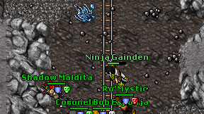 Ninja Gainden on screen