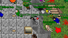 Dead Dragon Slayer on screen