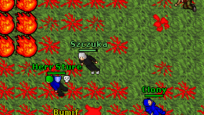Szczuka on screen