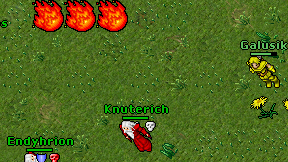 Galusik on screen