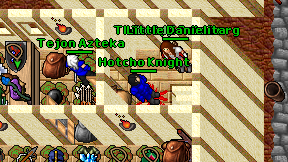 Hotcho Knight on screen