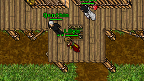 Lilyn on screen