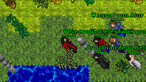 Ves on screen