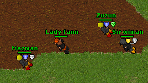 Lady fann on screen