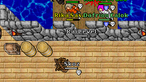 Rai Level on screen